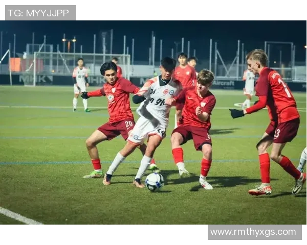 足球珠子：探寻这项运动背后的文化与热情之旅