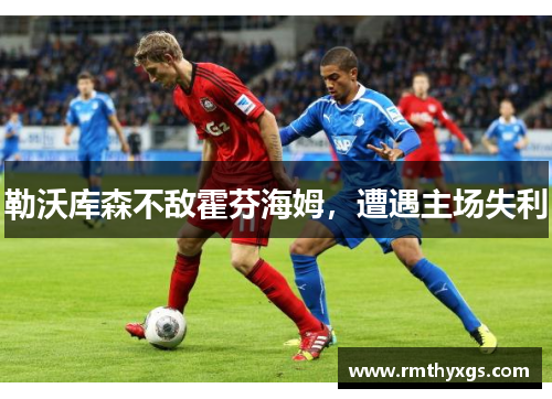 勒沃库森不敌霍芬海姆，遭遇主场失利